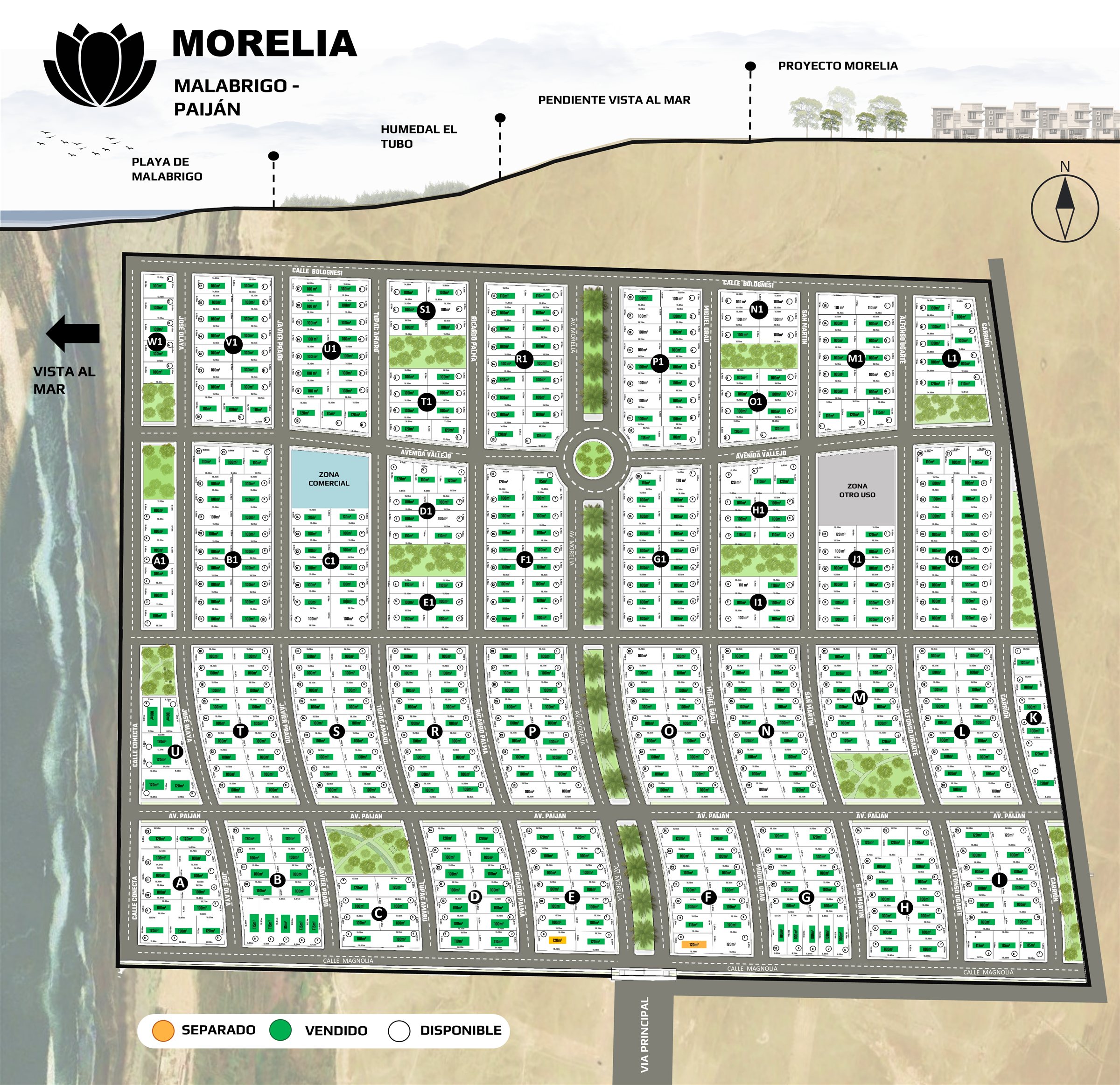 Plano de lotización del proyecto Morelia